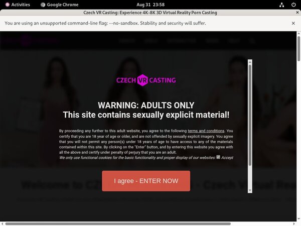 Account For Czechvrcasting.com Free