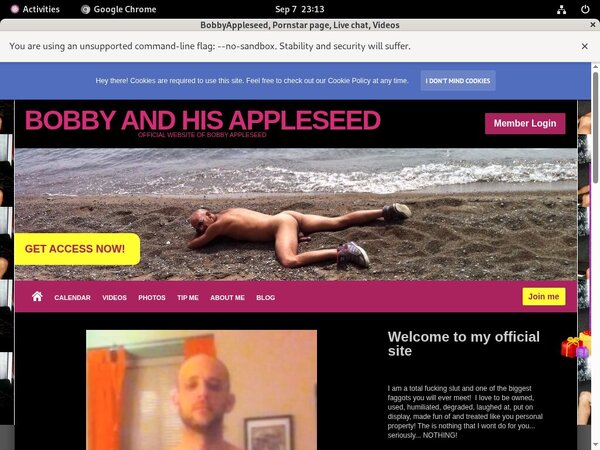 Account Premium Bobbyappleseed.modelcentro.com