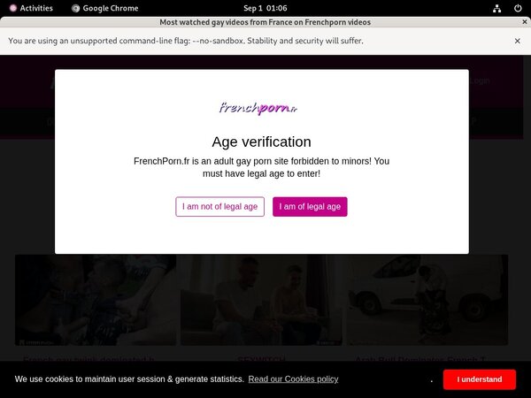 Accounts French Porn Gay Free