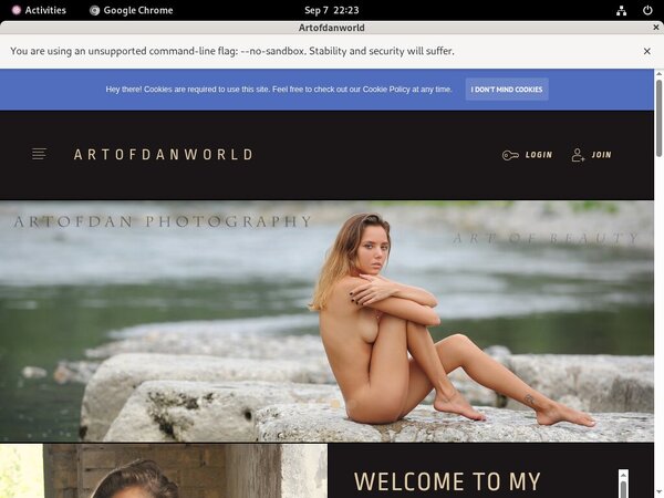 Artofdanworld Paypal Deal