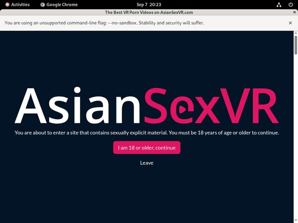 Asian VR Sex Xx