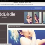 Baddbirdie.modelcentro.com Daily Accounts