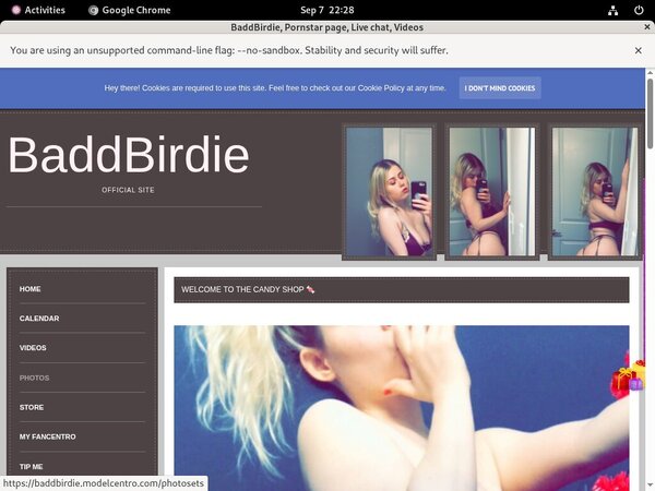 Baddbirdie.modelcentro.com Daily Accounts