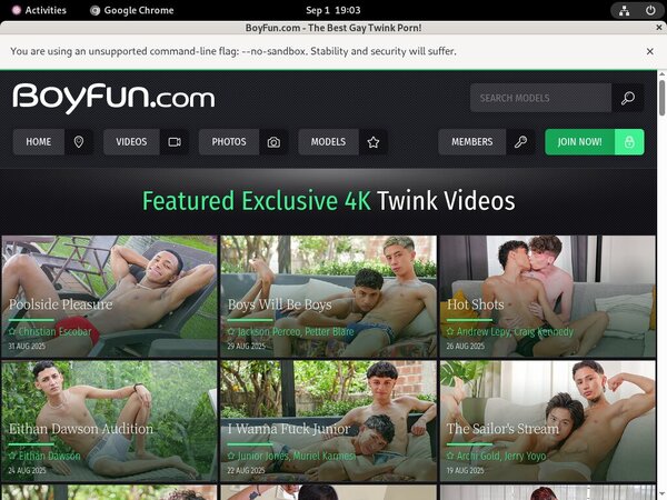 Boy Fun Premium Accounts Boy Fun Premium Accounts