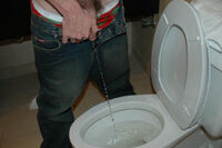 Boys Pissing Day Trial Membership s5