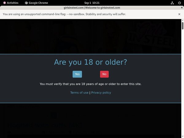 Contas Premium Girls In Steel