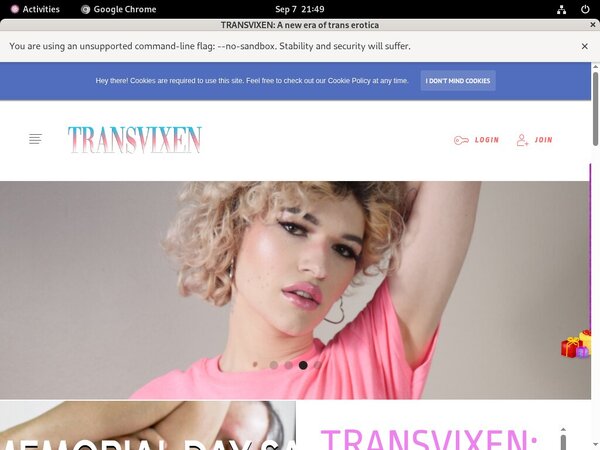 Discount Pass TransVixen