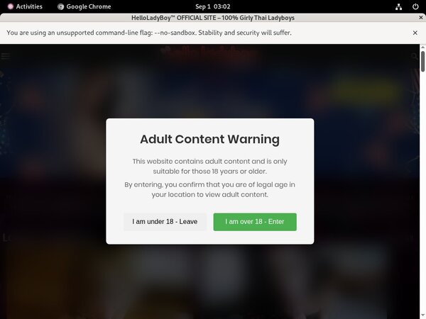 Download Helloladyboy.com