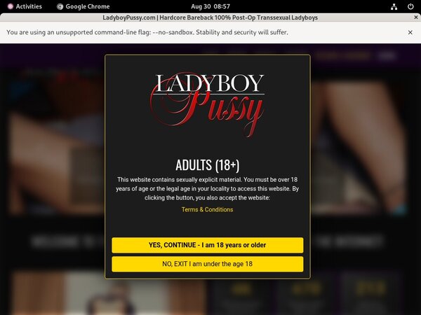 Free Ladyboy Pussy Account