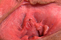 Gape My Pussy Registration Form s1