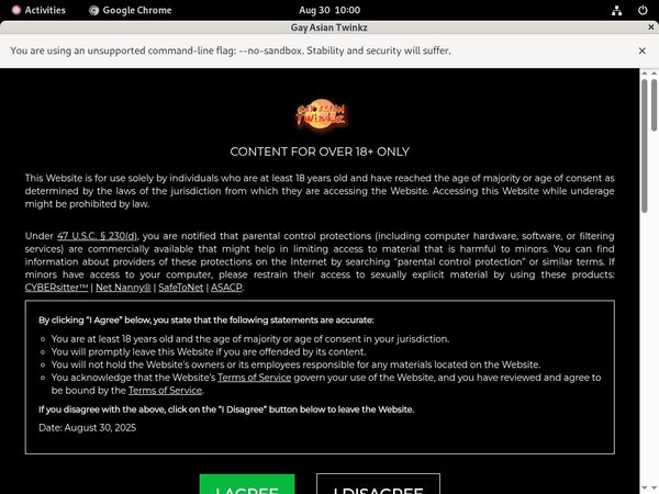 Gay Asian Twinkz Scene