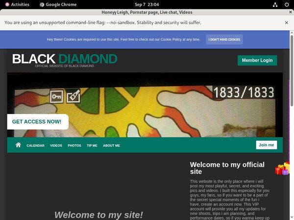 Honeyyleigh.modelcentro.com Site Rip New