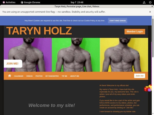 How Much Does Tarynholz.modelcentro.com Cost