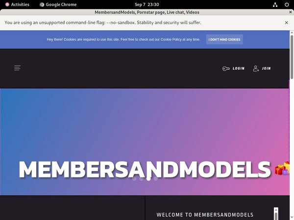 How To Get Into MembersandModels Free How To Get Into MembersandModels Free