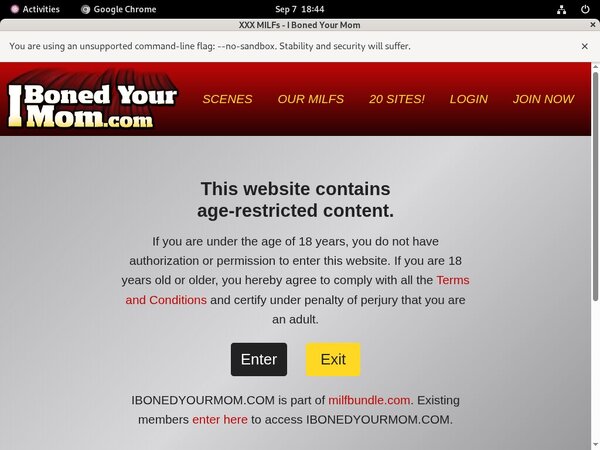 I Boned Your Mom Free Password