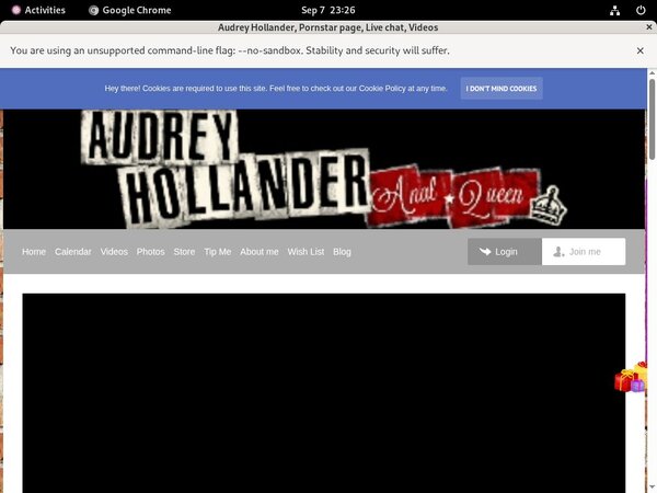 Inside Audrey Hollander