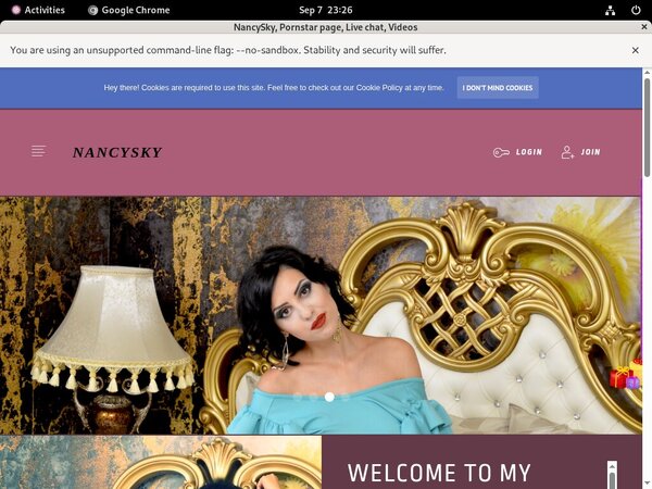 Join NancySky Paypal