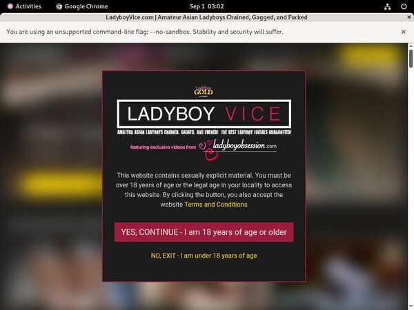 Ladyboy Vice Login Codes