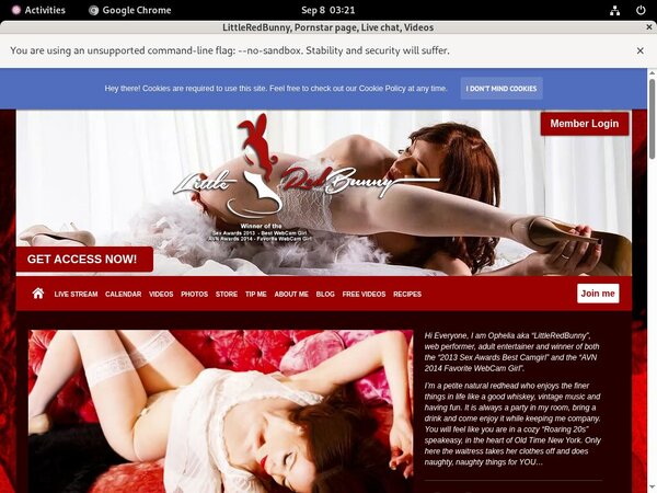 LittleRedBunny Epoch Payment LittleRedBunny Epoch Payment