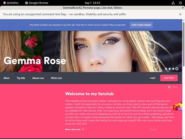 Login To Gemmarose42.modelcentro.com For Free