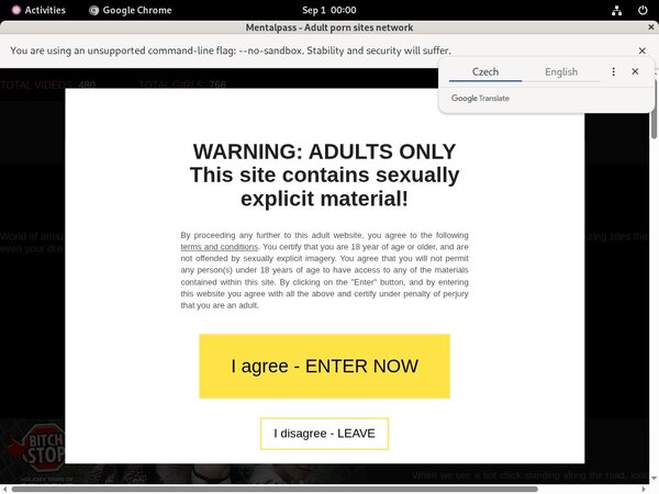 Mental Pass Free Passwords Mental Pass Free Passwords
