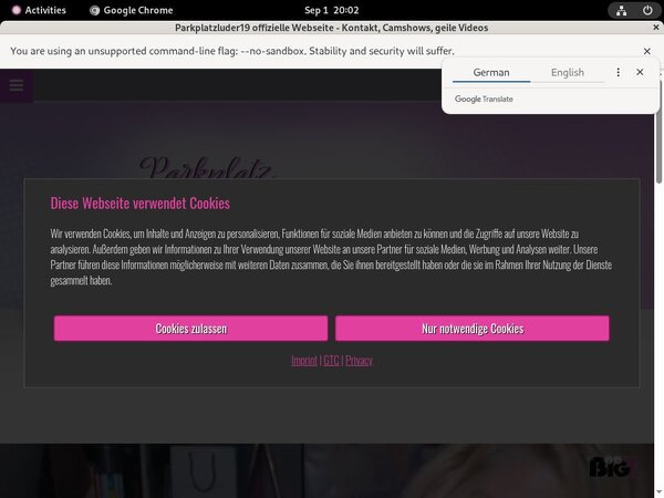 Parkplatzluder19 $1 Porn Trial