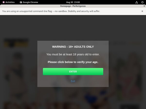 Perfectgonzo Free Logins