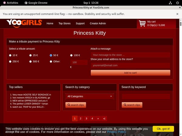 PrincessKitty Accounts Passwords