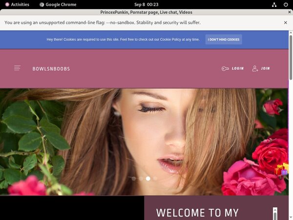 PrincexPunkin Mobile Pass