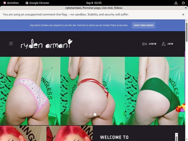Rydenarmani Bdsm