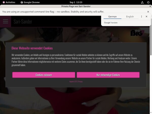 Sari-sander.com Free Collection