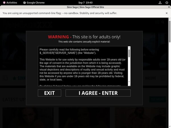 Sinn Sage Full Access