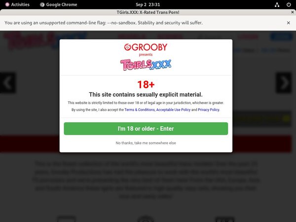 TGirls.XXX With Euros