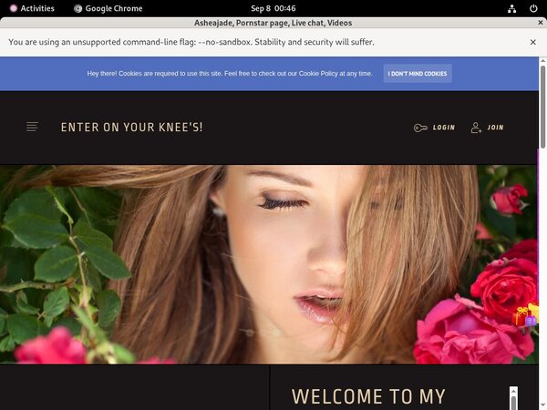 Try Ashea.modelcentro.com Free