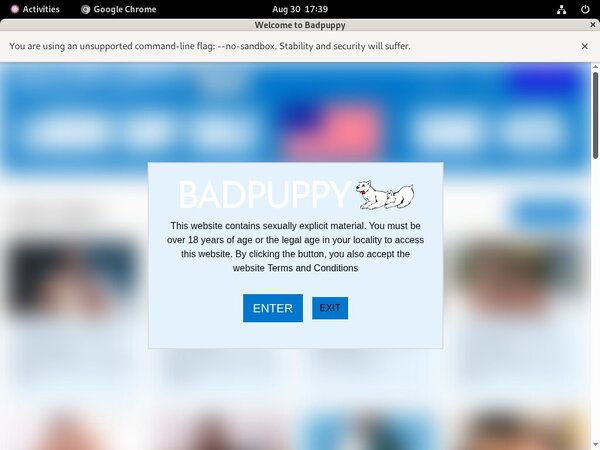 Working Badpuppy.com Account