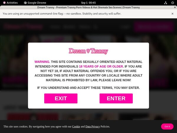 Dream Tranny Parola D'ordine Gratuito